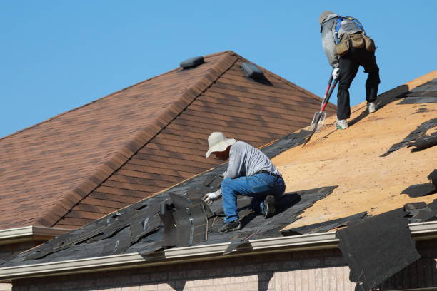 Best Gutter Installation and Repair  in Reeds Spring, MO